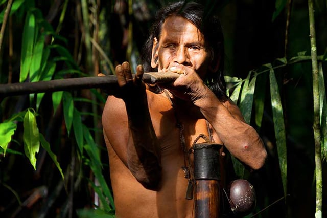 Amazon Rainforest video for kids – canopy, jungle animals, and river wildlife featured in Grades 2–5 rainforest lesson.