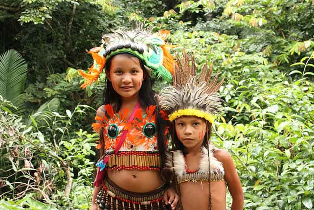Amazon Rainforest video for kids – canopy, jungle animals, and river wildlife featured in Grades 2–5 rainforest lesson.